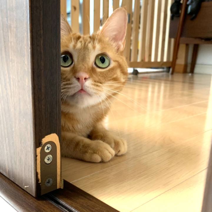 664ccb9c 6044 485c a27e 8757627b5e33 1565175557035