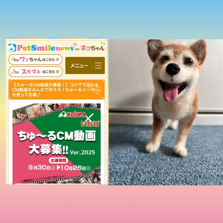 664cd14d 4675 4c7b 9543 5e2c79fe3a64 1771225164089