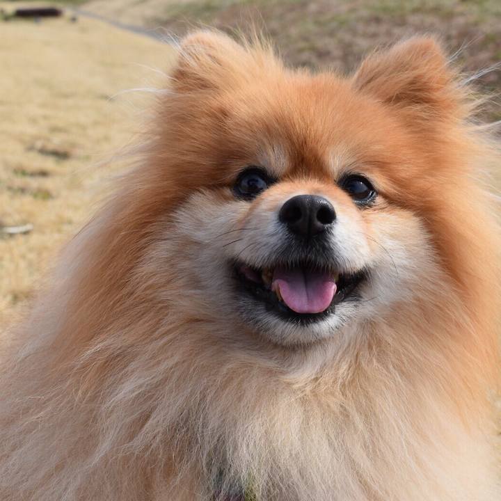 664ce2a1 fc63 49a6 bdfb bdb74647d1be 1590961510686