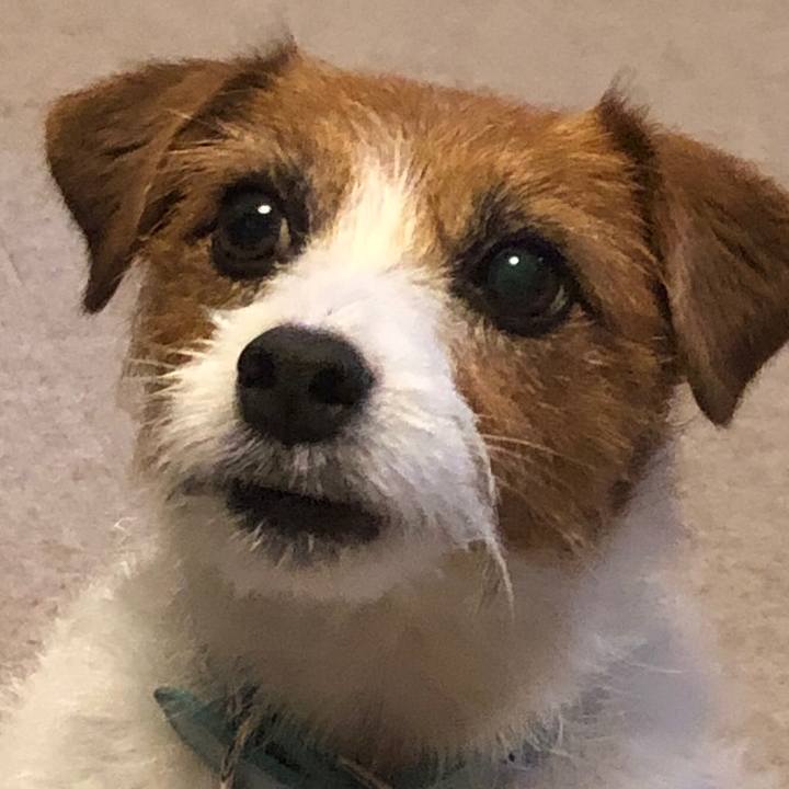 664cf0ce 9182 4d0c 9624 62a3538aab1f 1561178488884