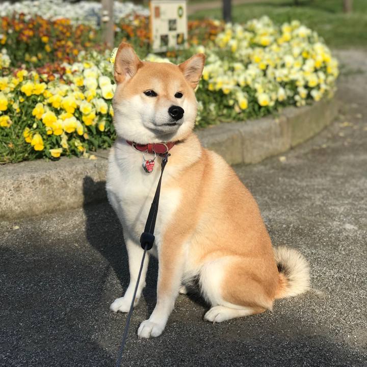 664d1f79 27c9 48e0 9063 dfb57d0d3f90 1526301959830