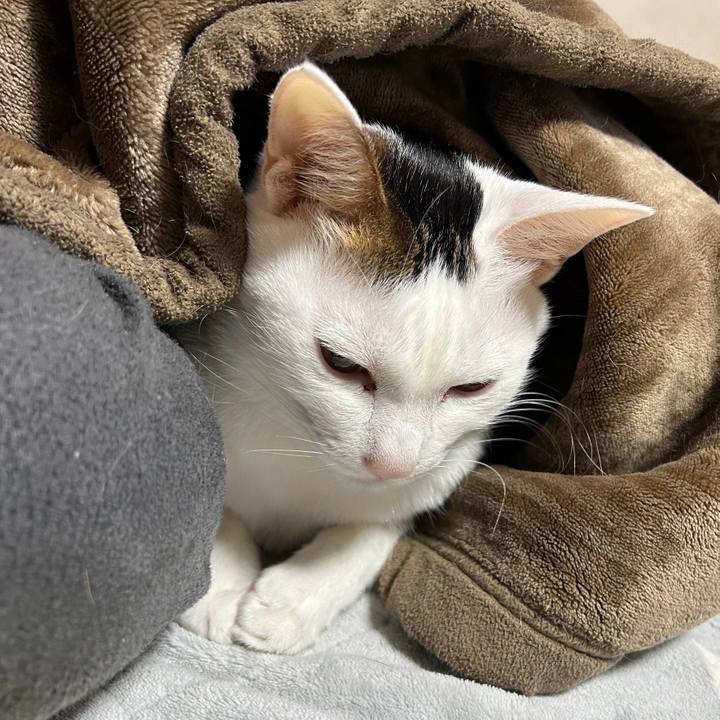 664d794d a84f 4ae9 8e29 34db736d294e 1769300147137