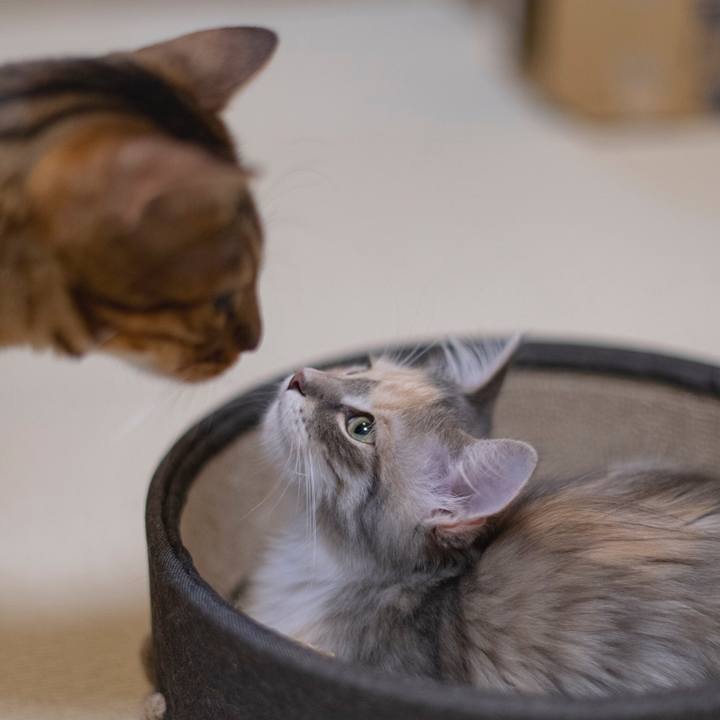 664d95f6 03c5 4714 a8cd ee3096b53af2 1537635130770