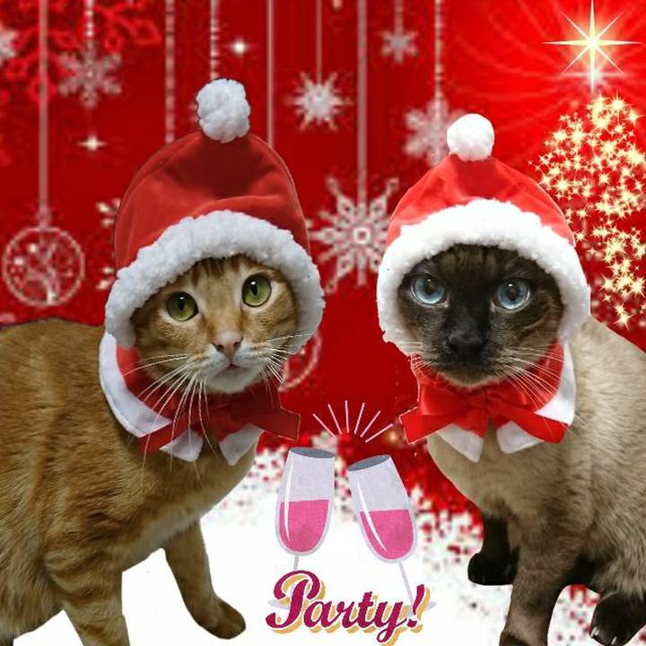 664dfb46 0dcc 4cf5 8894 537b1b18eb4a 1545642778059