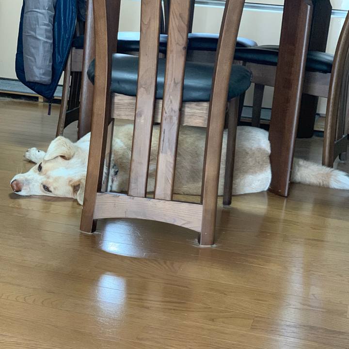 664e0c17 b8d3 4faf bef5 8b05ec368517 1550375036213