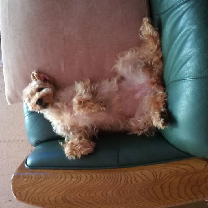 664e66cc 10a9 4d0c b1a5 7be19d0d0a31 1568630219339