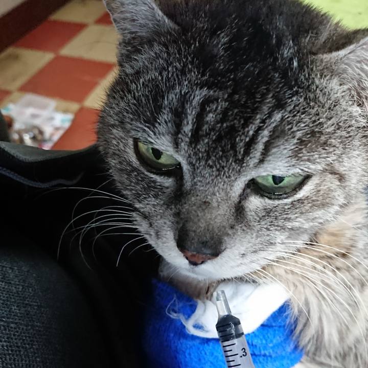 664eb5a6 f9b7 455d b8f8 7b0d4a27a929 1586813376881