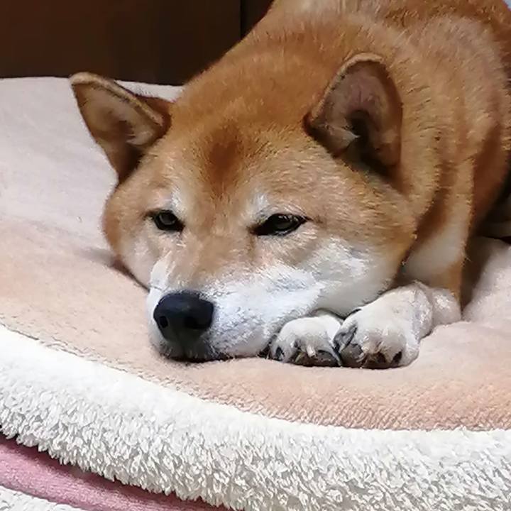 664ec603 22c4 4e5e 8689 a3842c794ded 1629815561830