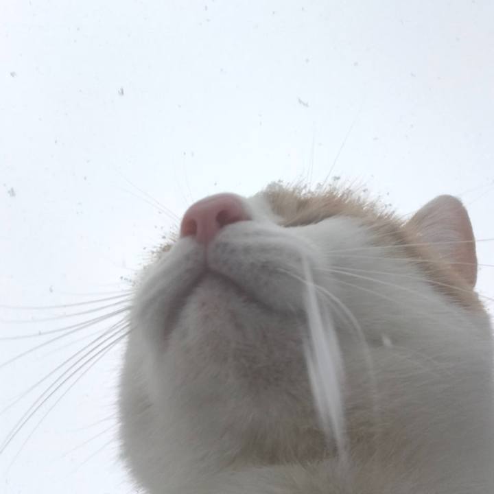 664eda2a 034b 45ab a011 20fdf854c812 1518398168308