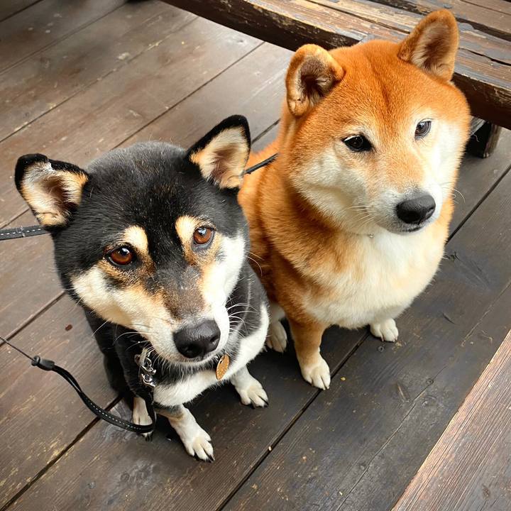 664eeff5 b51f 40b4 9005 68c2662ff5e6 1630553347279