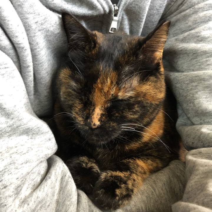 664f12e3 6f51 45e2 b097 5738817f88bf 1584756003790