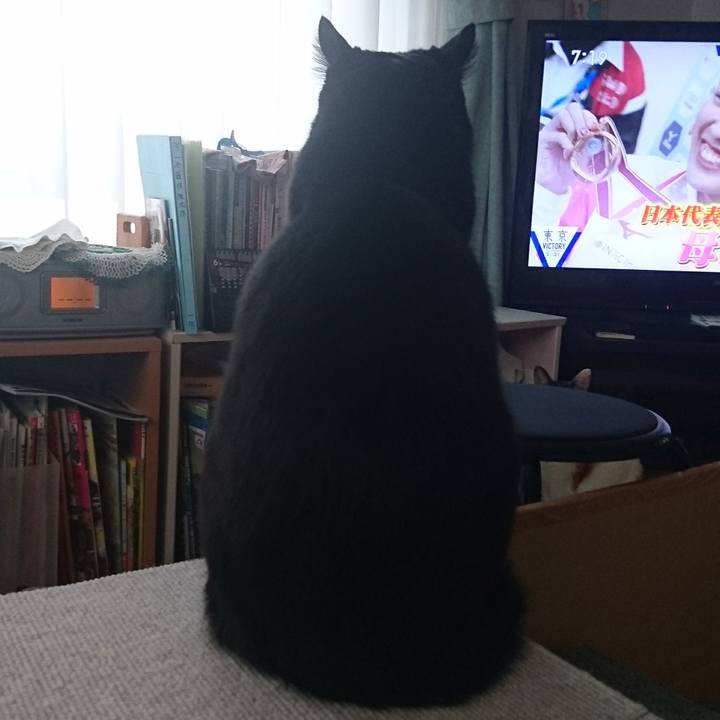 664f2999 708d 4e7c a912 2e96dd990abc 1624055266651