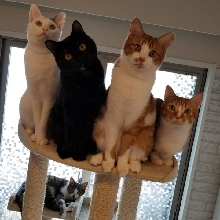 664f44c9 07f8 4483 ad0c 358d6f9b2947 1533263489250