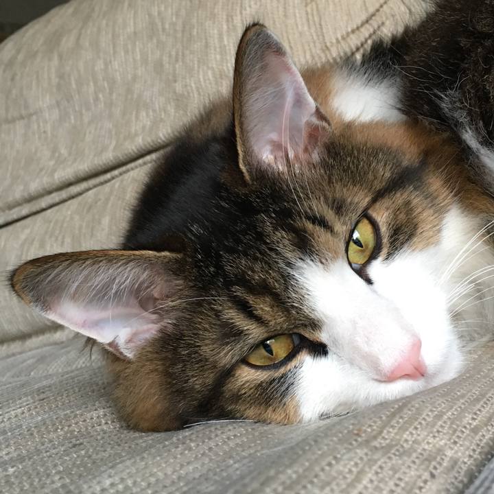 664f520d 51e0 4e5b 87cf 8fdf01842f76 1519484159053