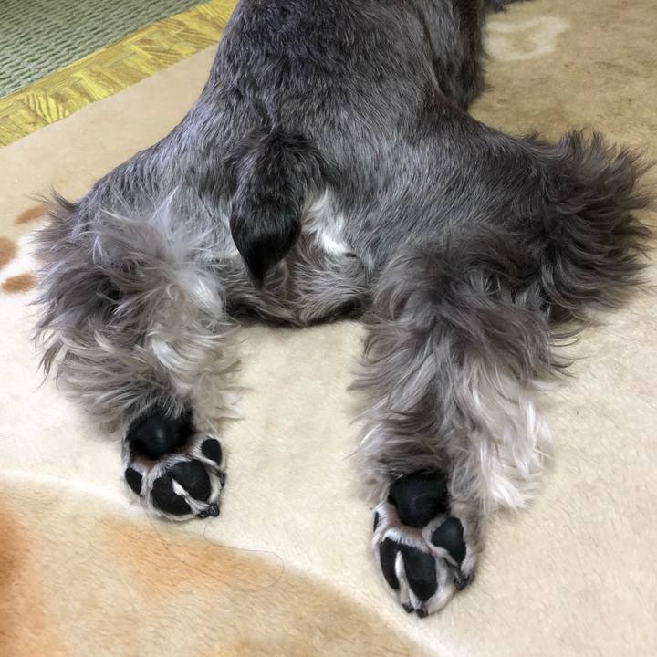 664f7cbf 74b4 4c1c 8bf7 281f34f20de5 1513509632145