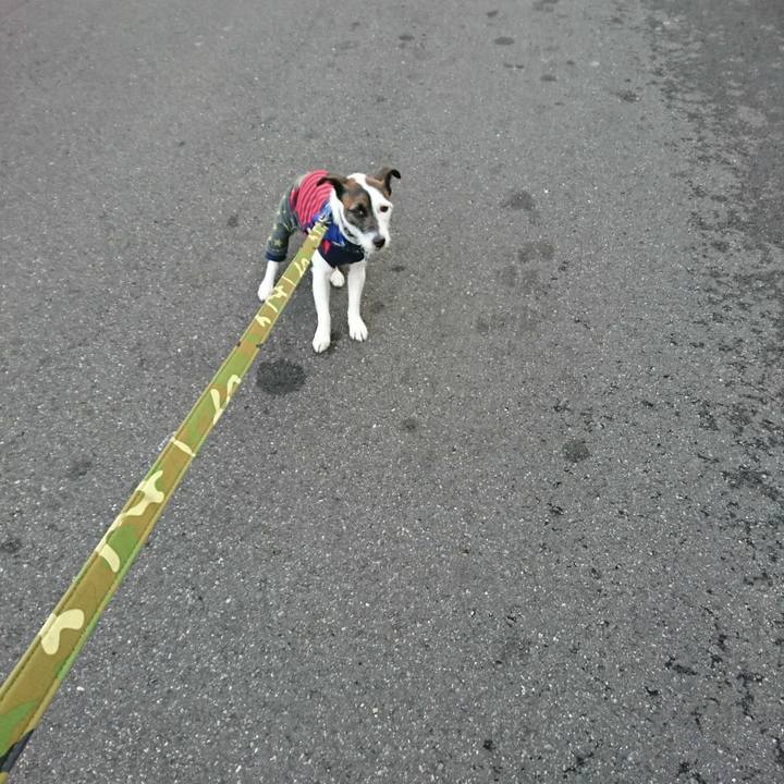 664f7f5a dd68 431c 8e96 1a0f98d72dc4 1516314131457