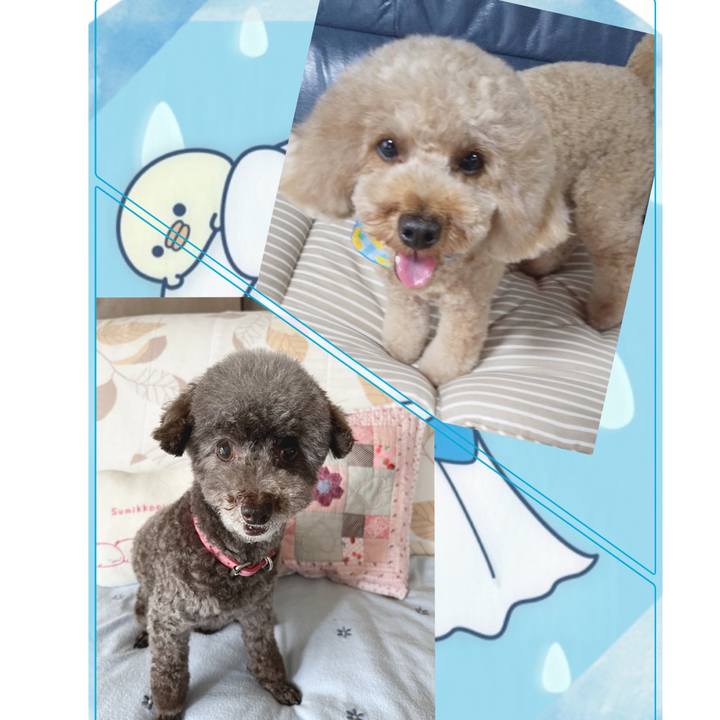 664fa656 db02 4c9f 9abd e58947ba2e4d 1688021977323