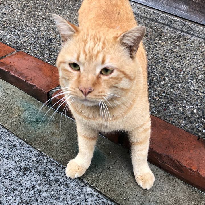 664fb639 cd85 4149 9860 6871e38f8e1a 1611451922903