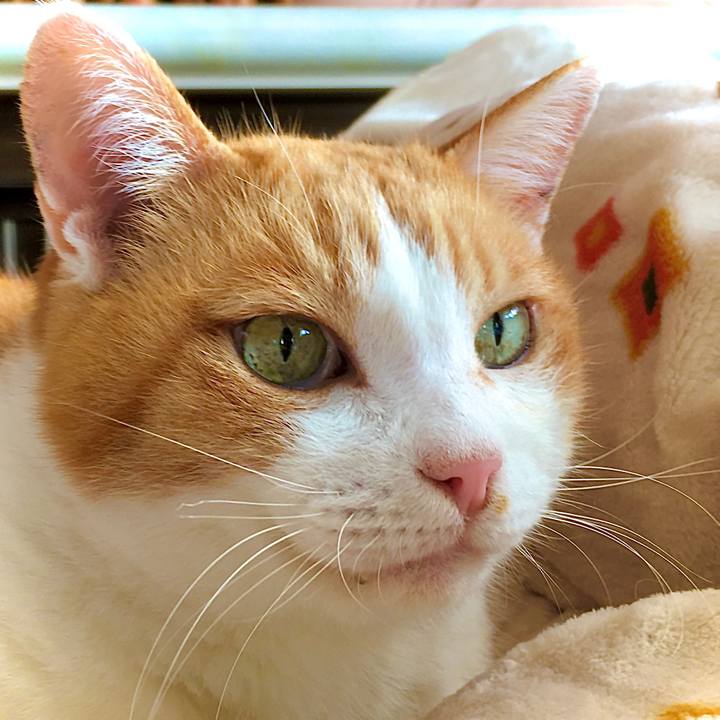 664fd0a2 1d01 4007 ab13 deb9a93fb134 1611873350555