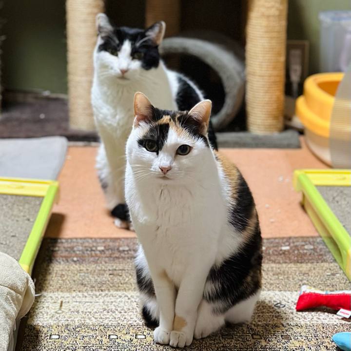 664ffbe1 1cd2 471b bed9 5b5b657b72e5 1708566720496