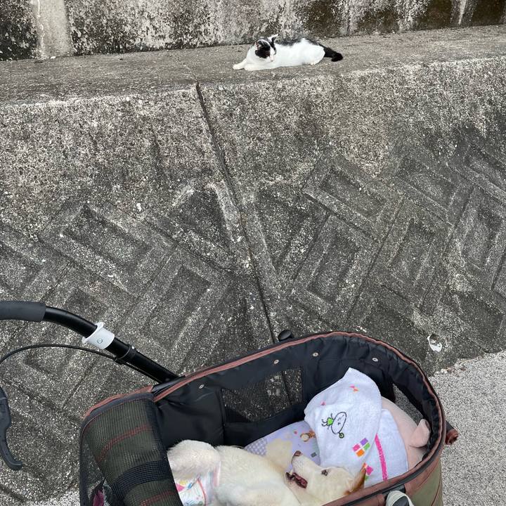 66501098 a2b9 465f 9855 ffcf4a9fe5e5 1664884511434