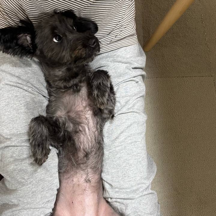 66505eb4 de73 4e9f b6d5 b1b49df465aa 1756290832837