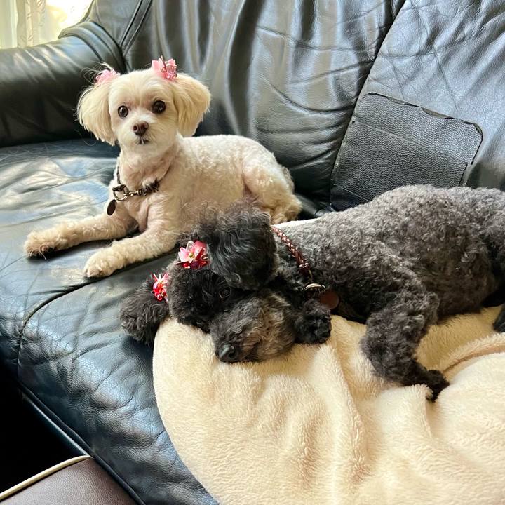 665062c1 9394 441a 8b17 348611d3fdd2 1756515671838