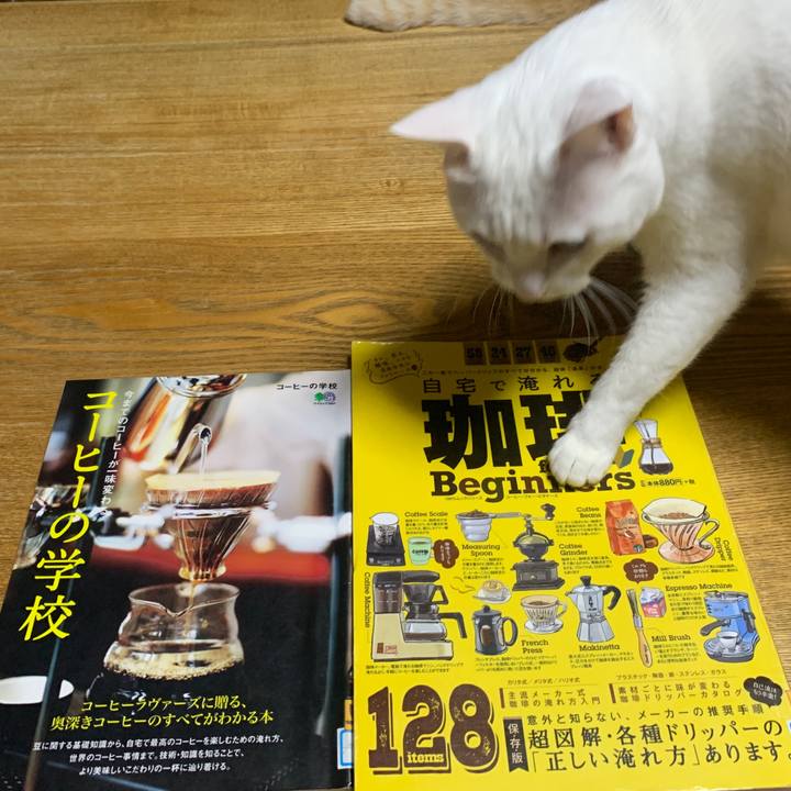 66506e5b a0fd 46a0 932c 10864fe4c20a 1654092889439