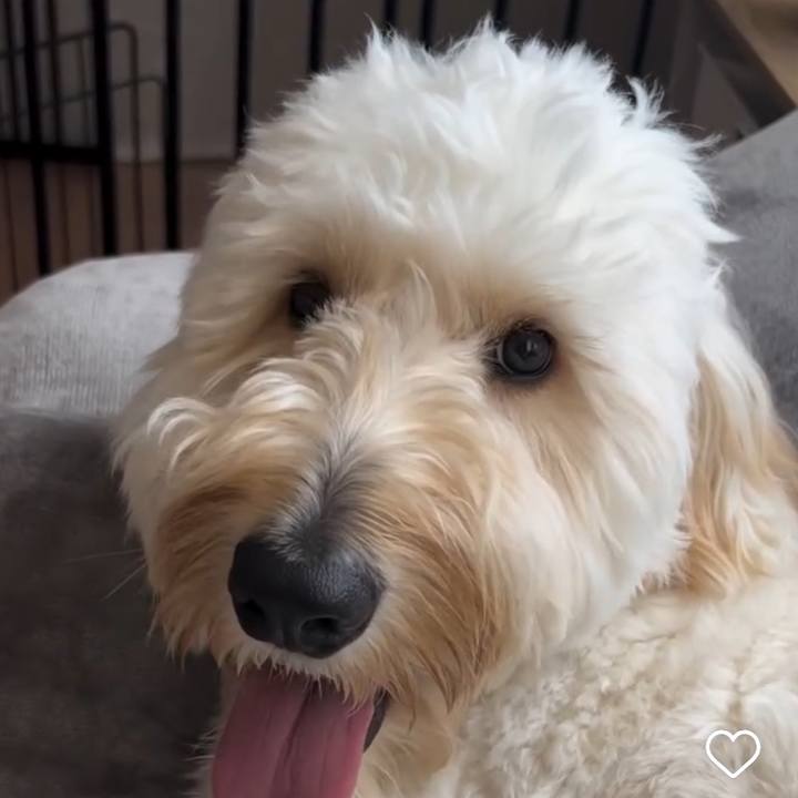 66507bed f090 4272 9ea0 18301ee70abd 1736145961055