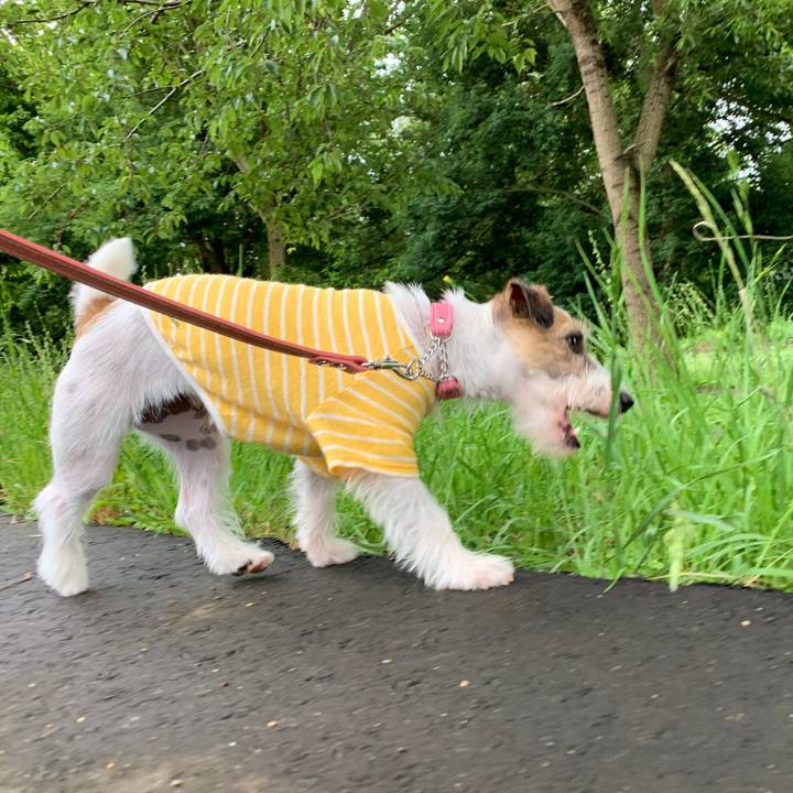 66508ff8 c3c2 4803 8996 e24bc4a7b321 1593074987835