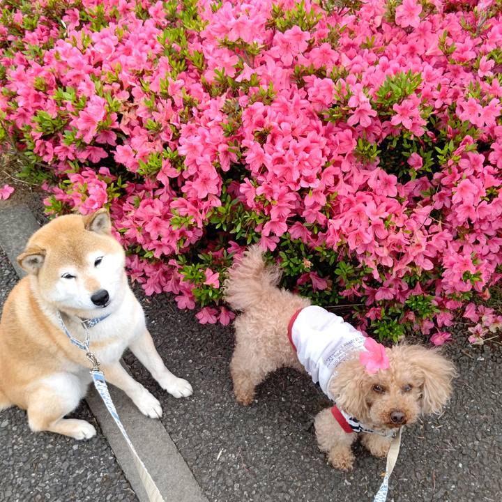 6650a54a c986 41d7 b956 82112a0b7ff0 1621491521571