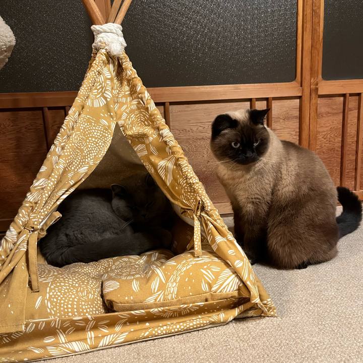 6650b709 7857 4f9e bcd9 61e69d41affe 1736859421541