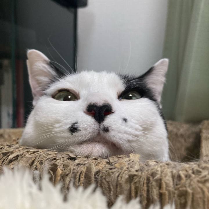 6650c123 8138 4e25 b06c ed2936db3579 1767306750279