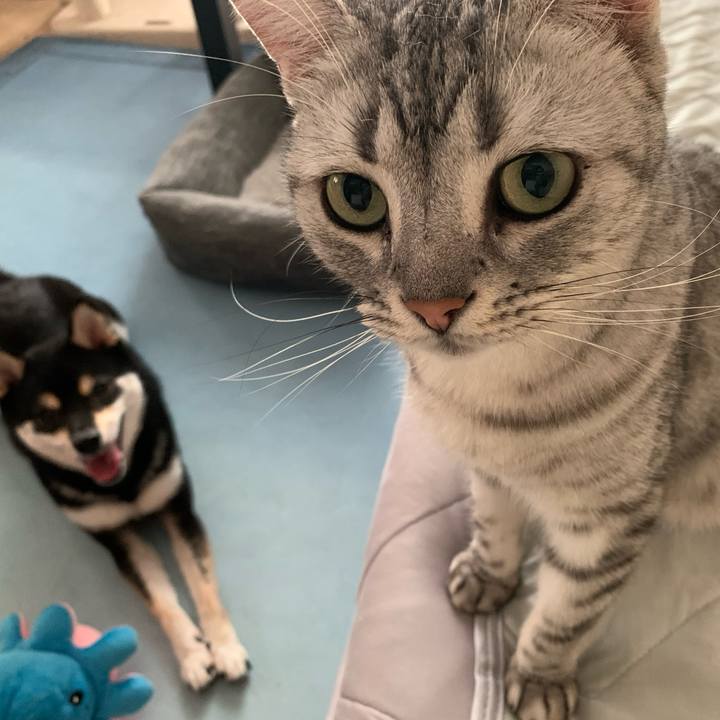 6650c212 4867 459a 8a54 d4ba922c4342 1627855845714