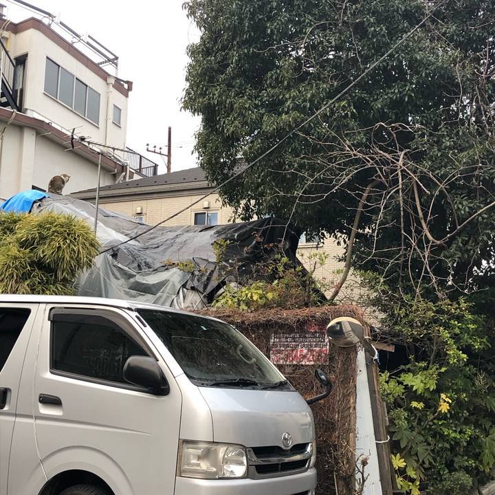 6650d5f8 52f0 4346 84e1 93fe5af1b408 1550221558641