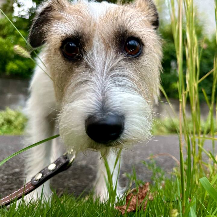 6650d885 5ccd 4b85 8301 255a9c0f3b0d 1727256164276