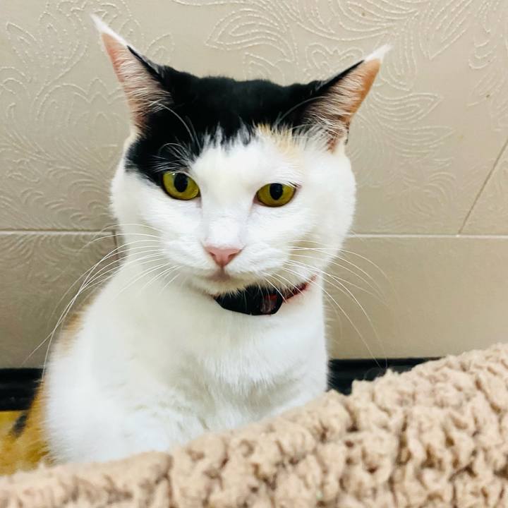 6650eac2 faa8 4f19 b4f2 976a923d448c 1698332838315