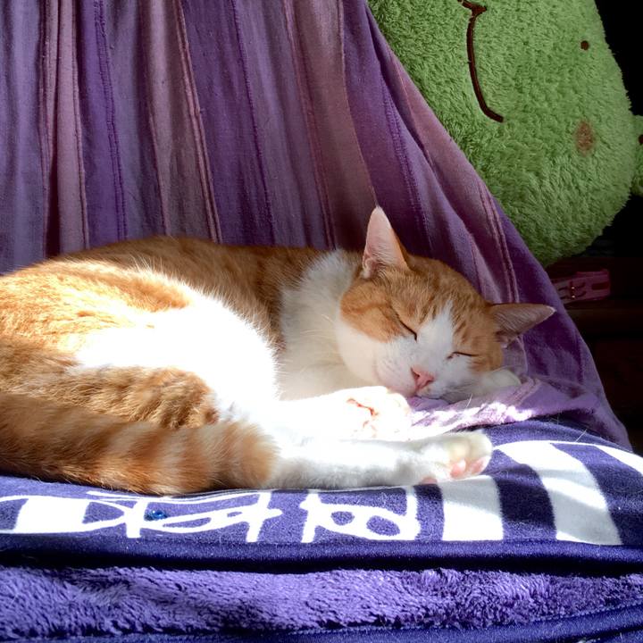 6651200c c4ab 4933 a4f8 6ec5bdd5af7f 1569567957671