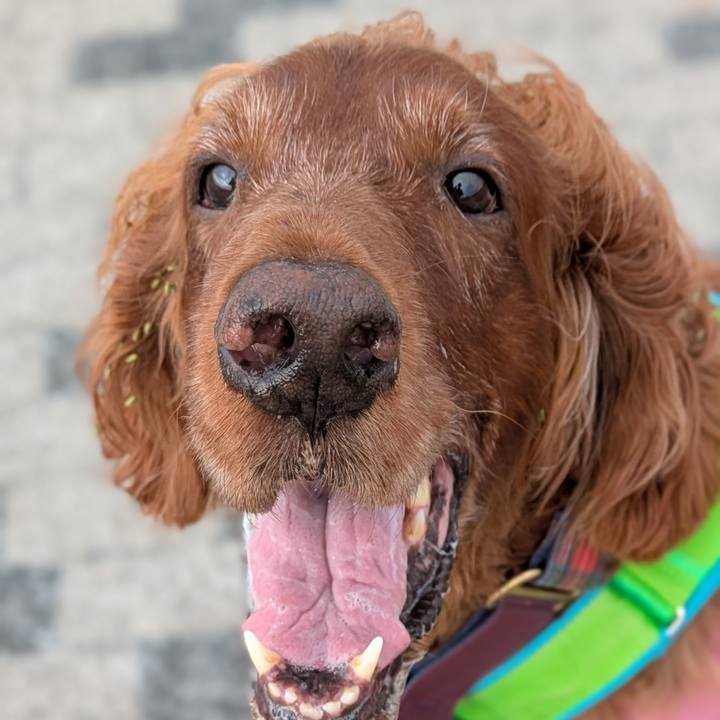 665127e6 0ecc 4c48 8a17 188f17972d50 1761273460291