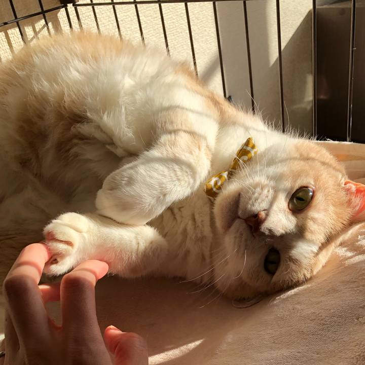 66515cd5 26ab 4796 b7e4 65b041b82e96 1573255398589