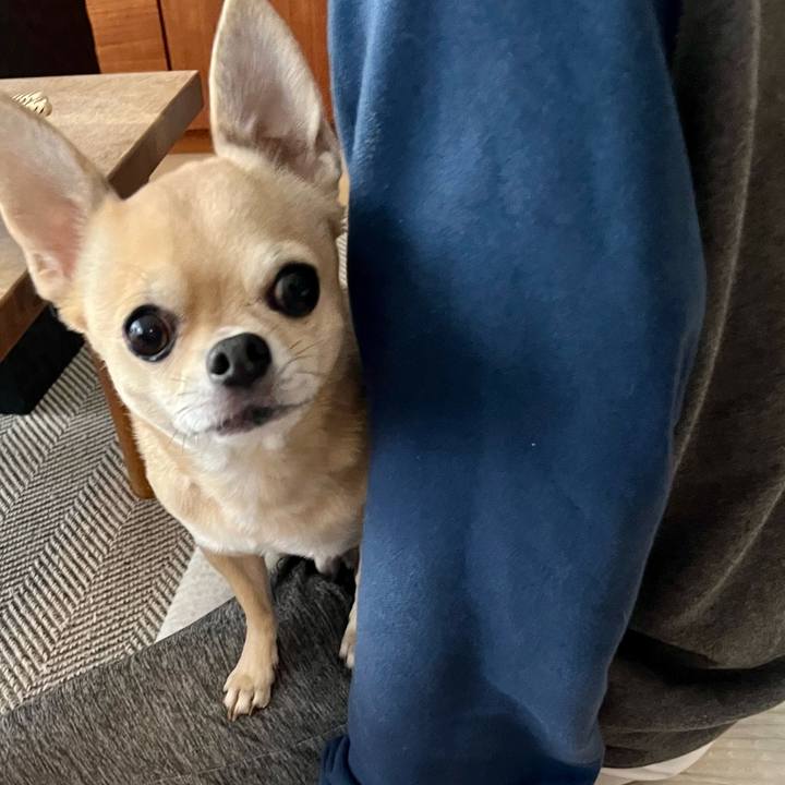 6651691e a93e 4654 a5c2 f7951a070213 1698359537125