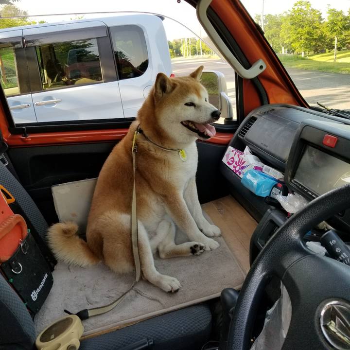 66519005 adcb 43cc ba49 794d913f3ec8 1653812674974