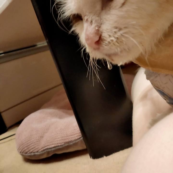 6651ca1f af33 49dc afe7 24a7168be53f 1607430541394