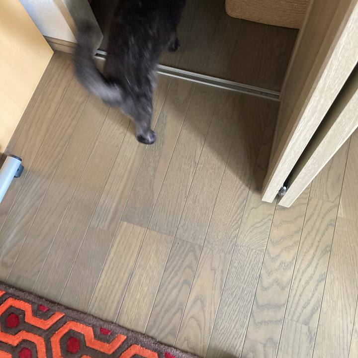 6651cb73 ec6d 40bd 882b 584e7f729436 1596248502529