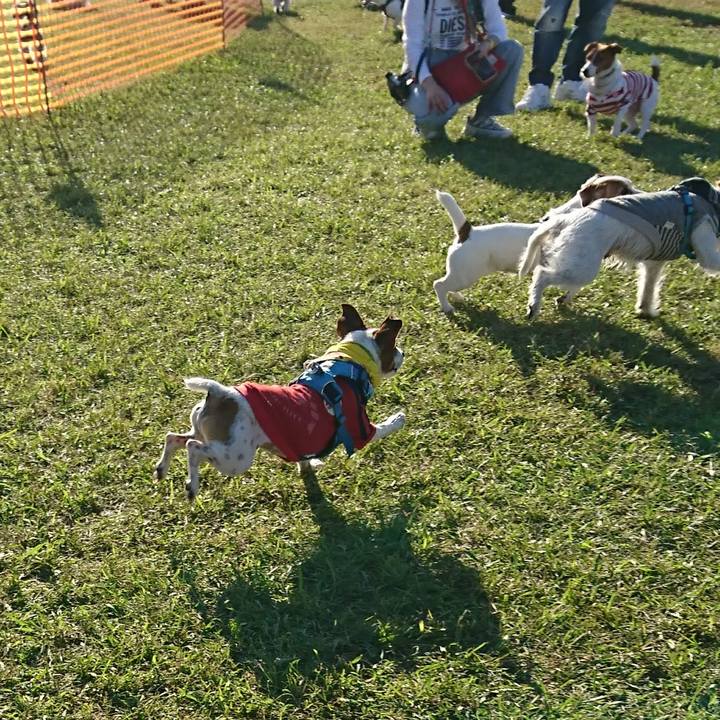 66520aa4 ff57 469f 9e10 a863c6dced93 1603621043243