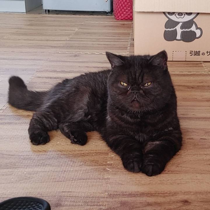 665247e8 c1b6 4396 91aa cec8be9c5453 1633741780071