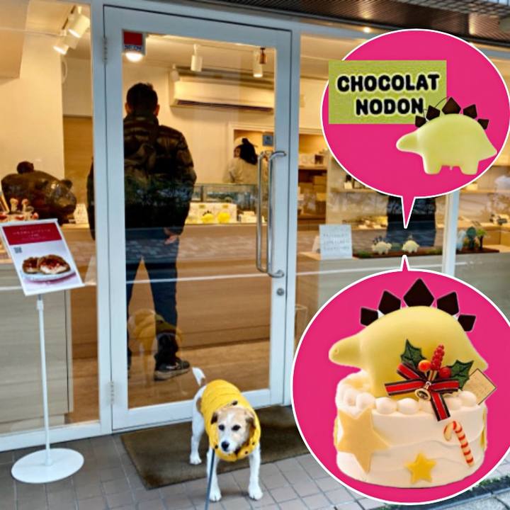 66527746 b040 4ecf a918 70c31fa3e8c1 1709122366554