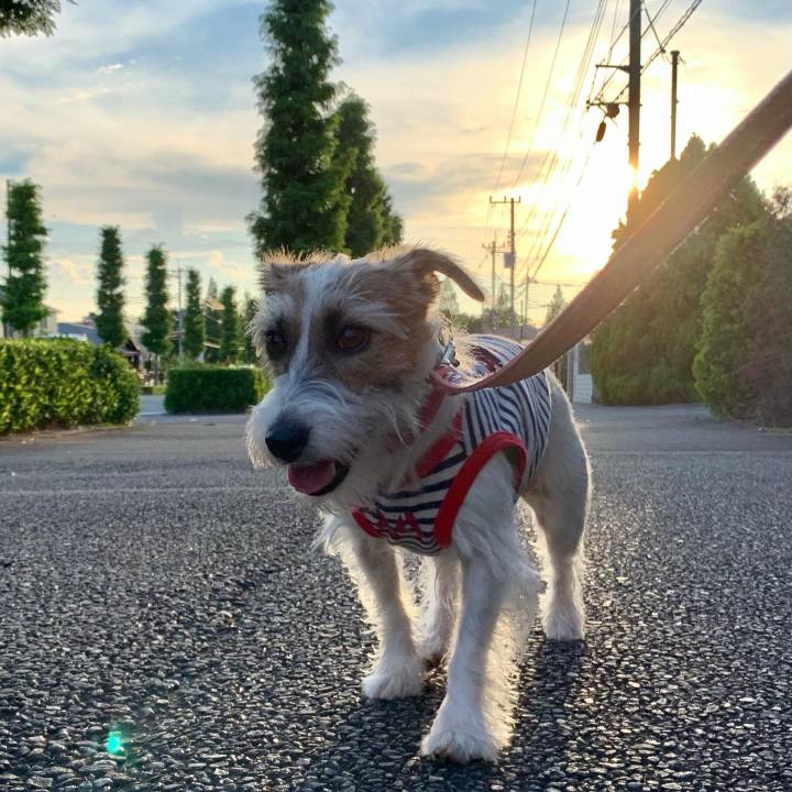 665290c2 614c 45dc 96ec 894c42175180 1627652506086