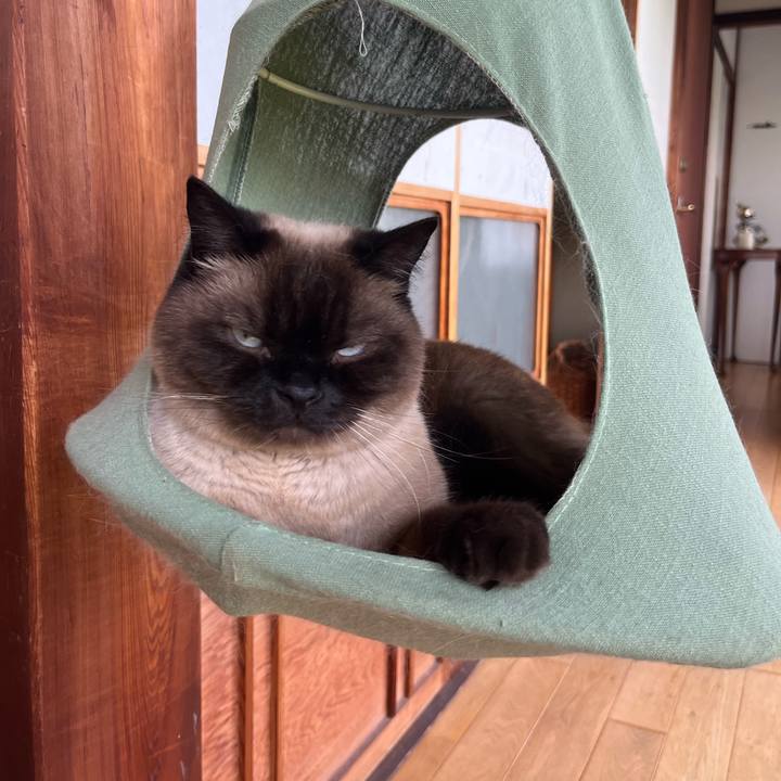 66529e14 5603 42cc 8688 70ae7e96ba58 1719626339305