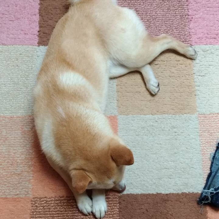 6652ca5a 9d18 4f82 a30f 51623519179d 1554795455464